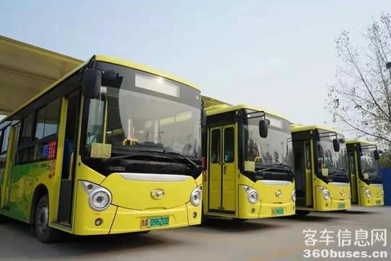 g1.jpg