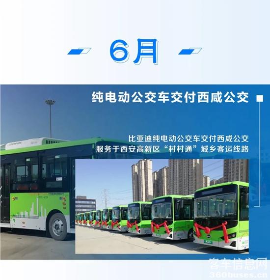 b6.jpg