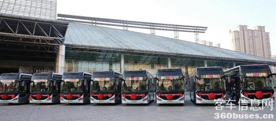 d4.jpg