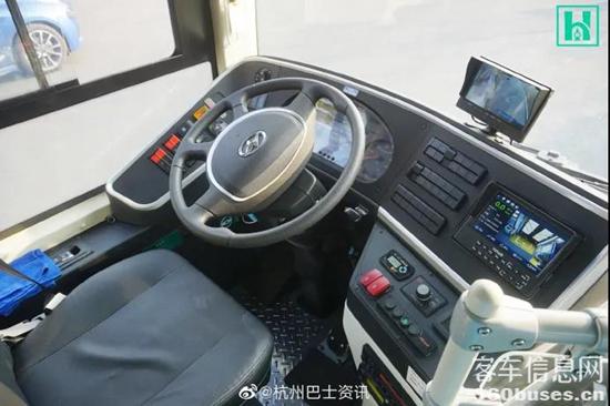 d9.jpg