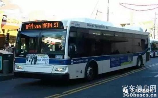 b1.jpg