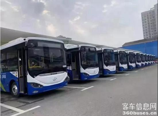 b5.jpg