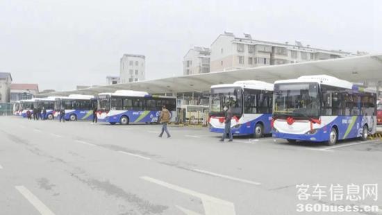 b8.jpg