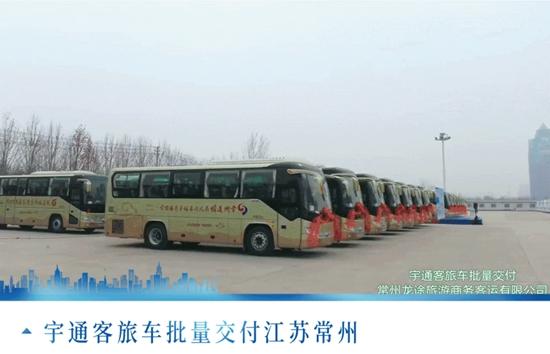d7.jpg