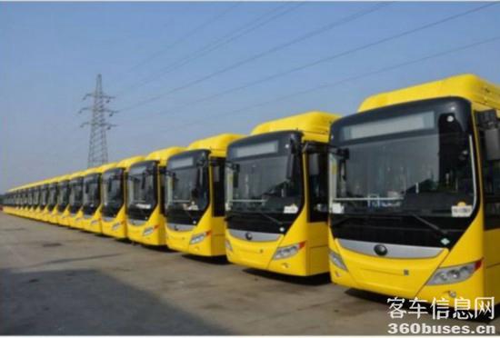 1620957555359397.jpg 3845692086446564127.jpg