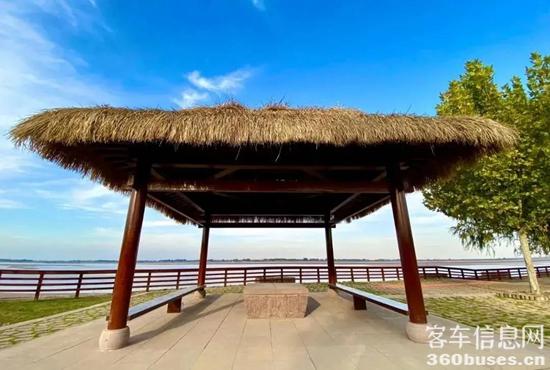 1622595716247733.jpg b2.jpg