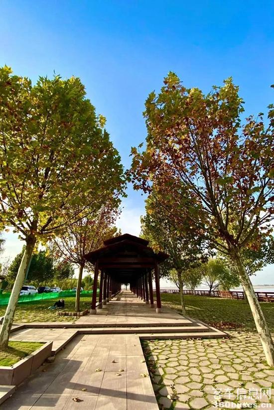 1622595722263915.jpg b3.jpg