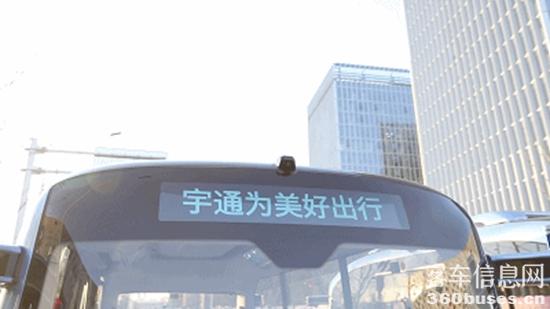 1622596037109448.jpg b15.jpg