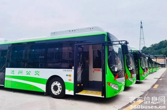 e1.jpg