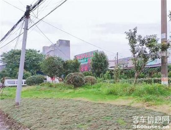 1623810786487518.jpg 下载.jpg