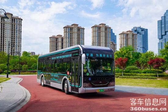 1624415934526801.jpg d8.jpg