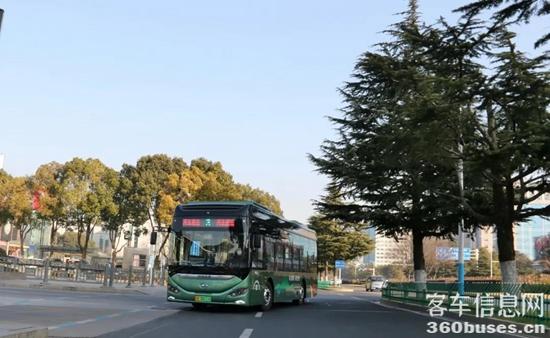 c7.jpg