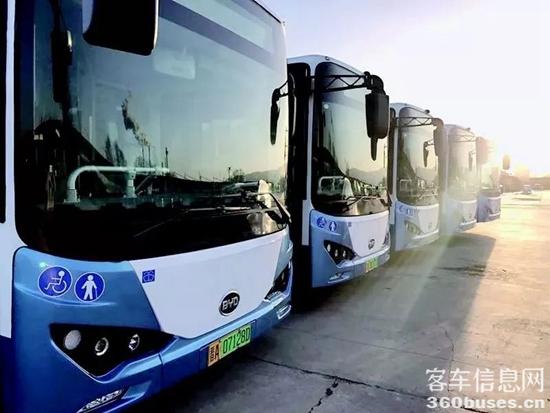 1624951416912314.jpg 376.jpg