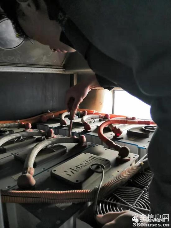 1626830429847952.jpg b2.jpg