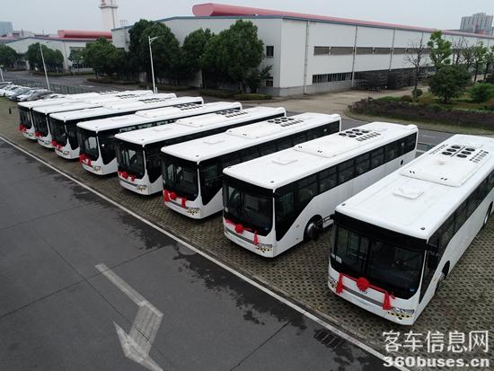 安凯再获沙特批量大单（图片3）.JPG