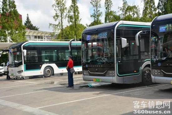 c25.jpg