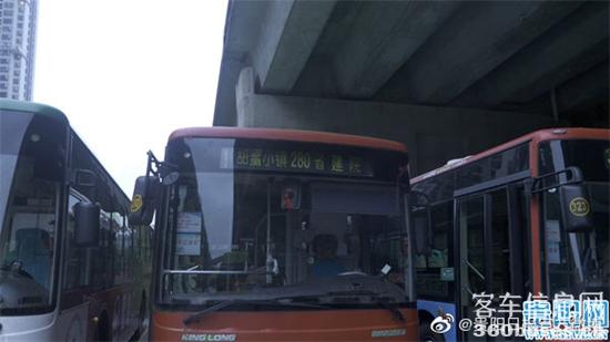 e1.jpg