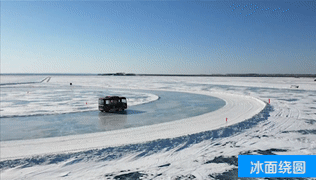 5.gif