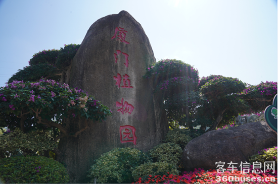 图片8.png