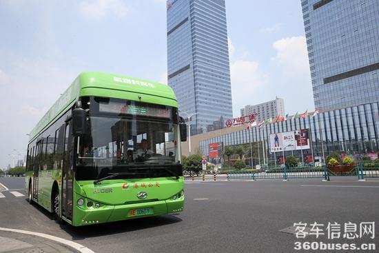 D14U1766.JPG