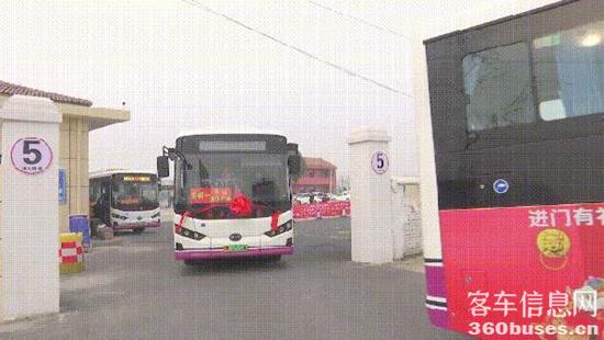3366-bf1df02193e2b799de420b2436fc8bbc.jpg