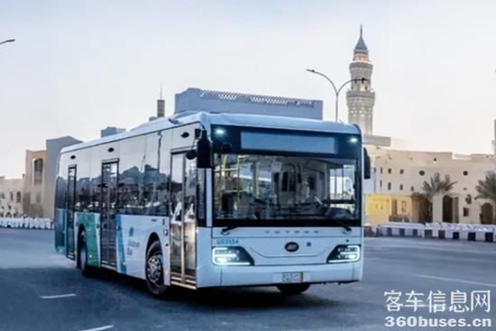 1747374186739379.jpg 3.jpg