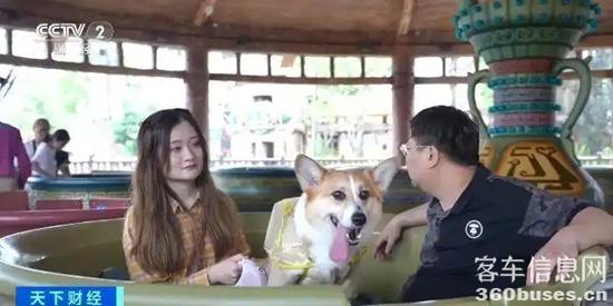 1747621299379973.jpg 6.webp.jpg