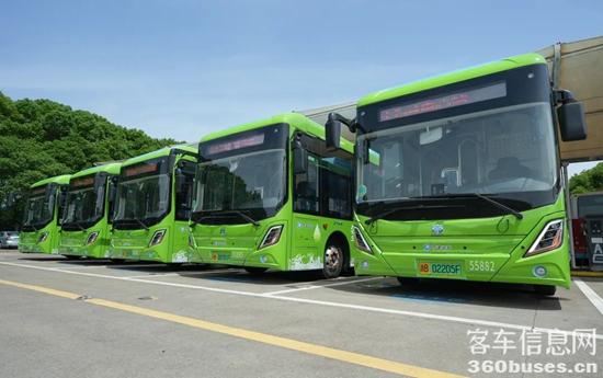 1747795233391822.jpg 3.jpg