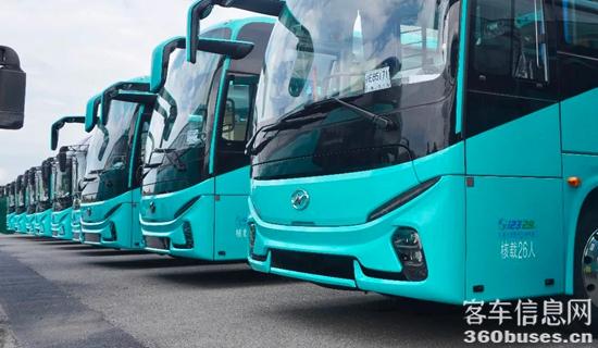 1747882392177955.jpg 1.jpg