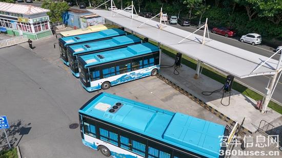 1750124022682622.jpg 3.jpg