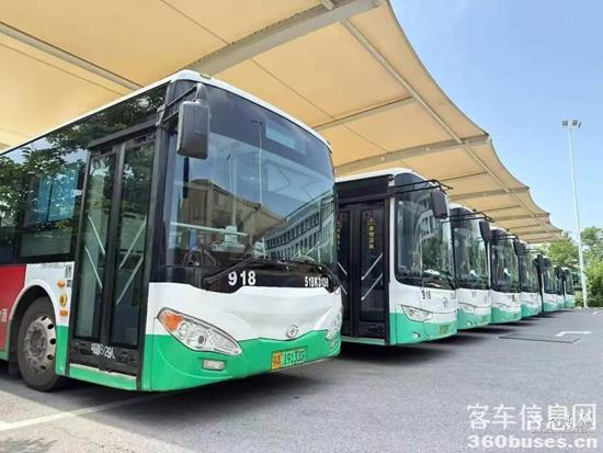 1750143118542613.jpg 18d8bc3eb13533fa3d269579120cfe0f43345bc0.webp.jpg