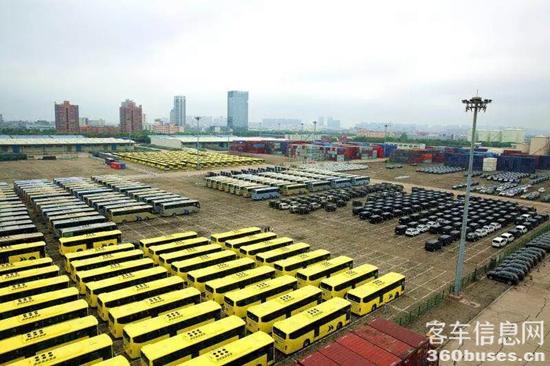 1750214538552992.jpg 6.jpg