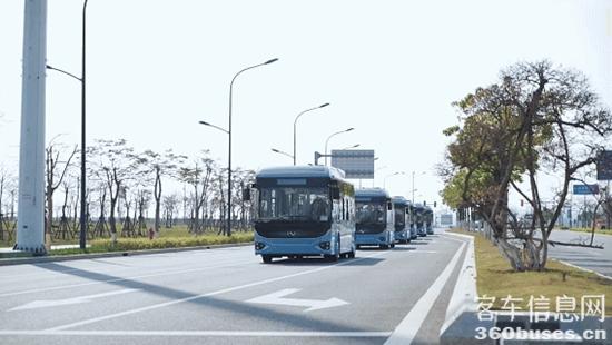 1750219974274942.jpg 2.jpg