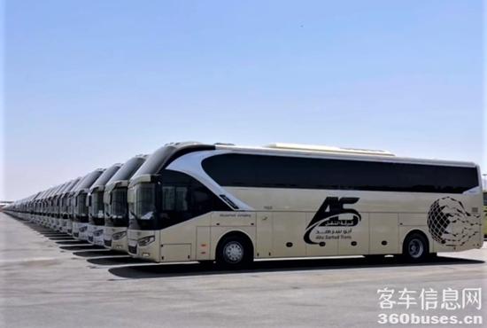 1750223644415177.jpg 6.jpg