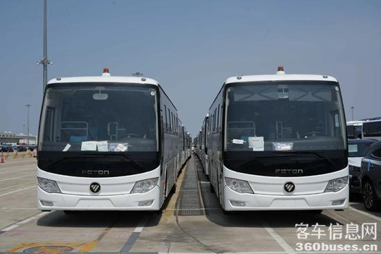 1750745002750138.jpg 2.jpg