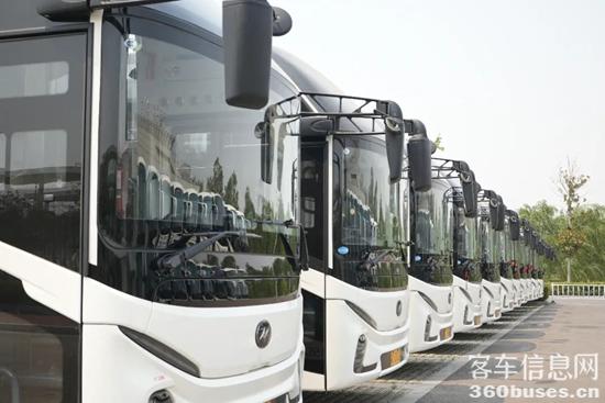 1751338363377235.jpg 1.jpg