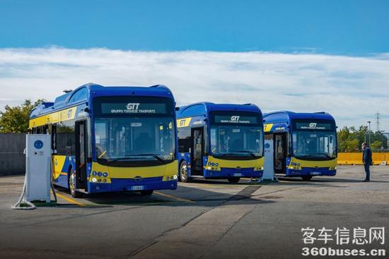 1752542741667349.jpg 比亚迪大巴在意大利.jpg