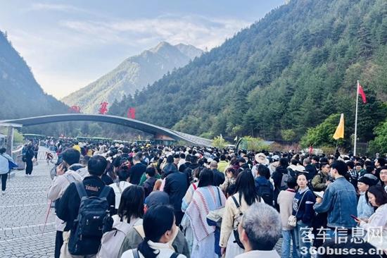 1752797038363341.jpg 4.jpg