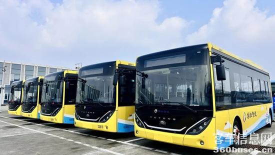 1753668165590726.jpg 6.jpg