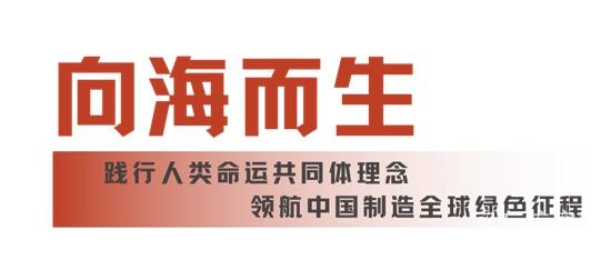 1753763205667998.jpg 11.jpg