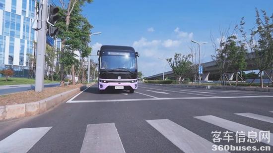 1754543035133684.jpg 2.jpg