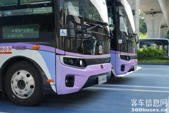 1754543069196232.jpg 5.jpg