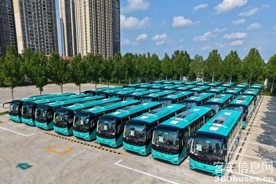 1755237013313777.jpg 5.jpg