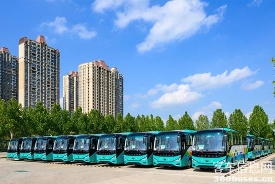 1755237033142866.jpg 8.jpg