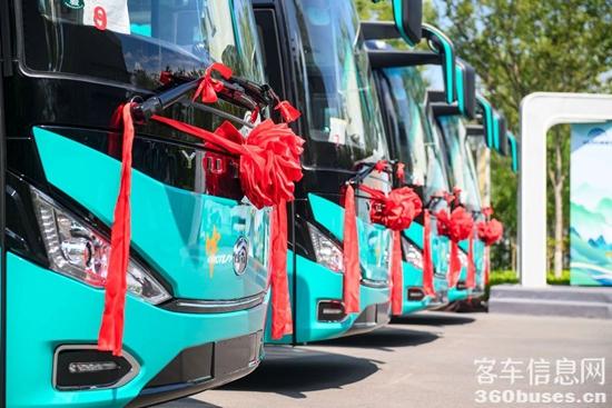 1755237039959344.jpg 9.jpg