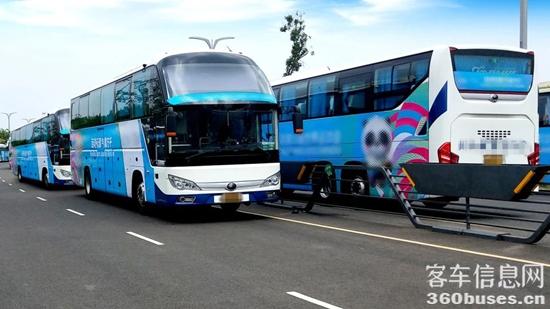 1755237592142332.jpg 3.jpg