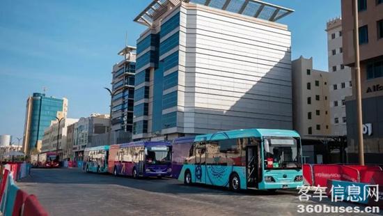 1755237627497220.jpg 8.jpg