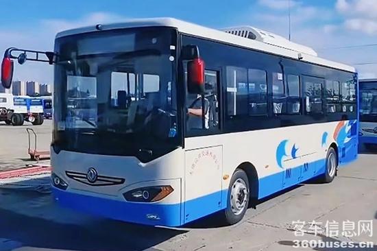 1755570680836424.jpg 3.jpg