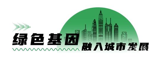 1761533037168601.jpg 5.jpg