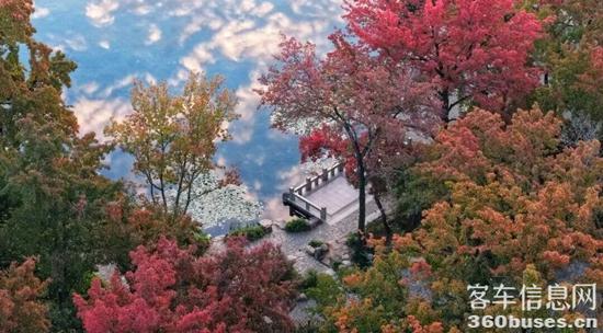 1764059499866479.jpg 微信图片_2025-11-25_163105_165.jpg